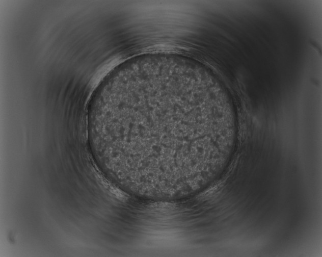 X0000103221075200809251130