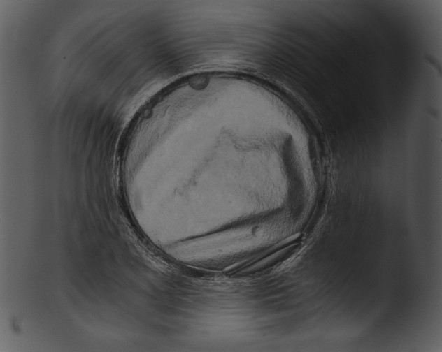 X0000103221077200809251130