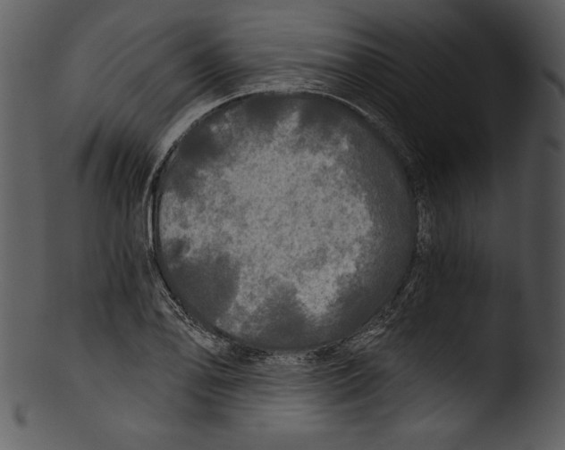 X0000103221078200809251130