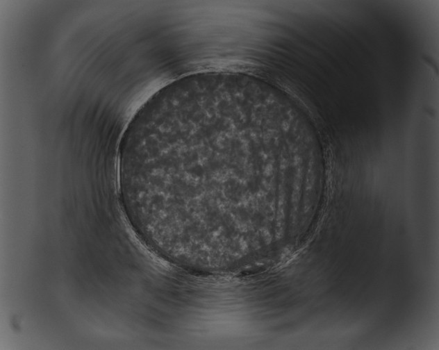 X0000103221079200809251130