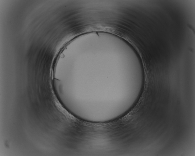 X0000103221080200809251130