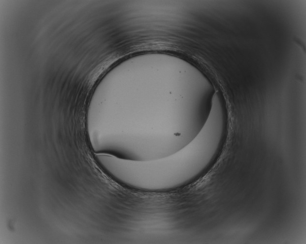 X0000103221081200809251130