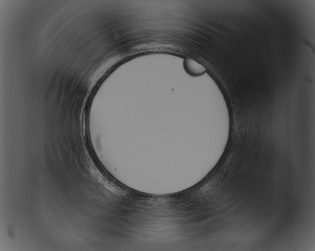 X0000103221082200809251130