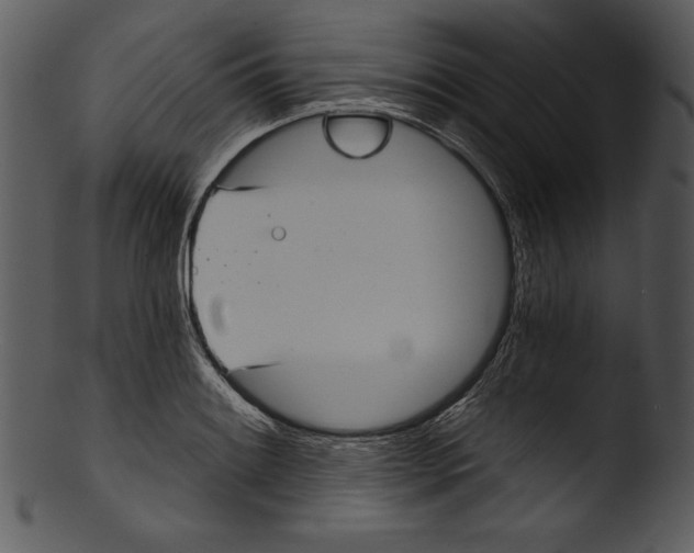 X0000103221084200809251130