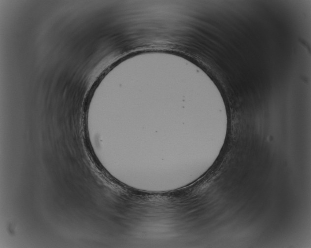 X0000103221085200809251130