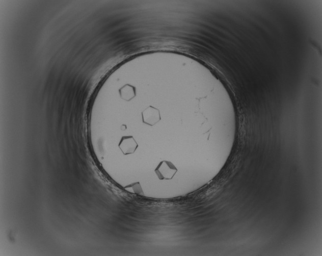X0000103221088200809251130