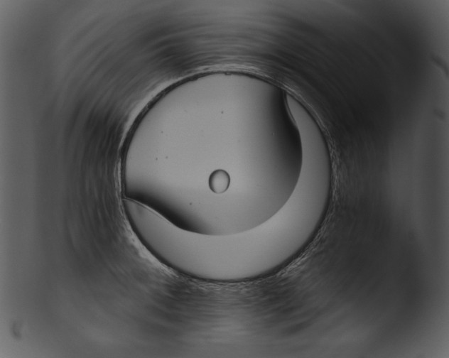 X0000103221092200809251130