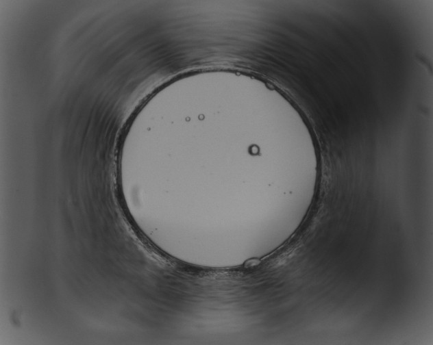 X0000103221093200809251130