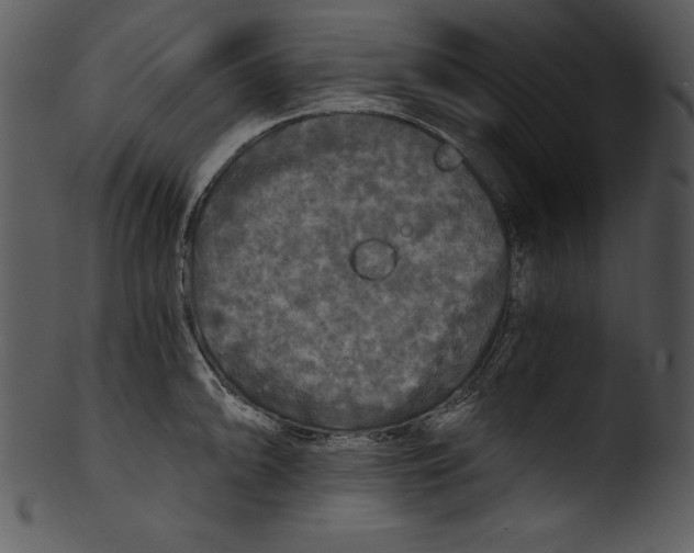 X0000103221094200809251130