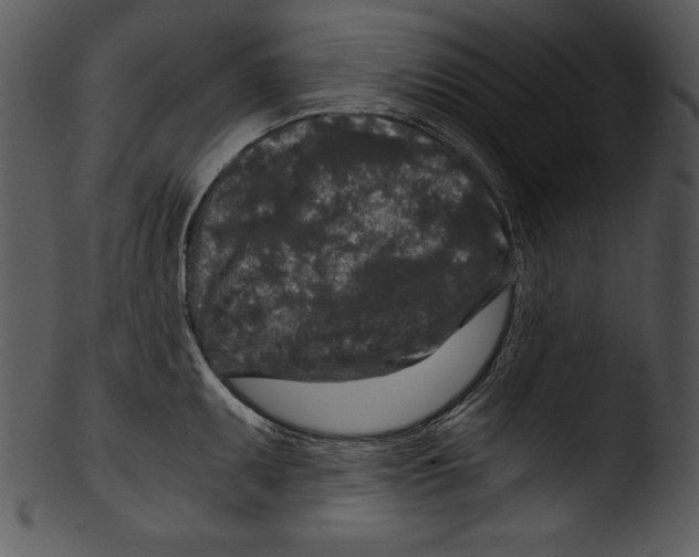 X0000103221095200809251130