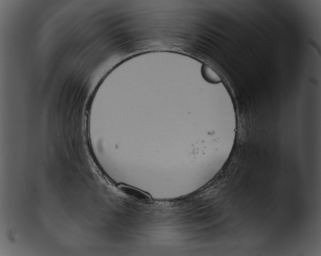 X0000103221096200809251130