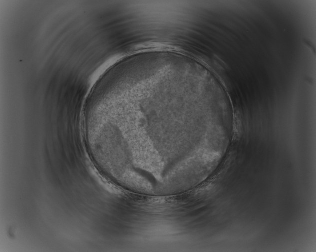 X0000103221098200809251130