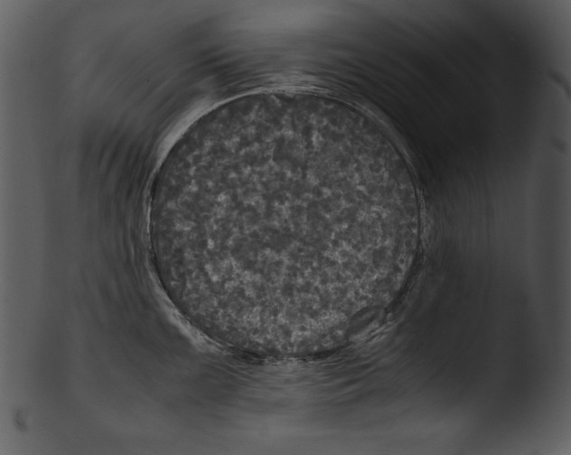 X0000103221099200809251129