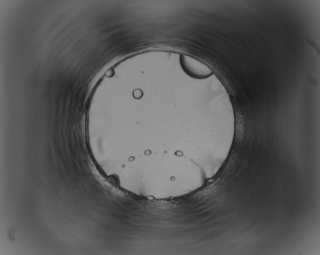 X0000103221100200809251129