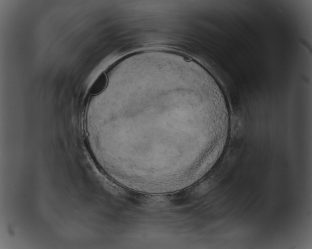 X0000103221101200809251129