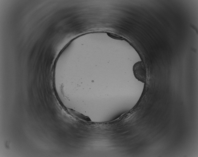 X0000103221102200809251129