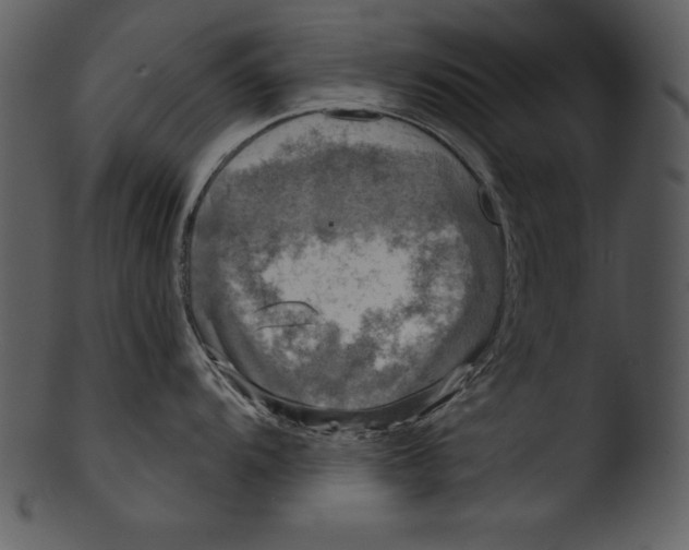 X0000103221104200809251129