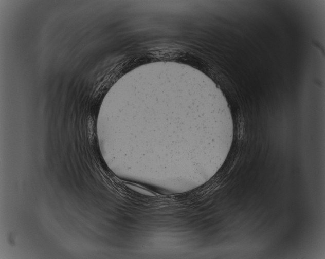 X0000103221108200809251129