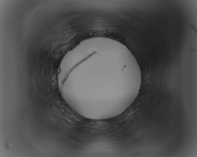 X0000103221109200809251129