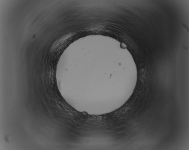 X0000103221111200809251129