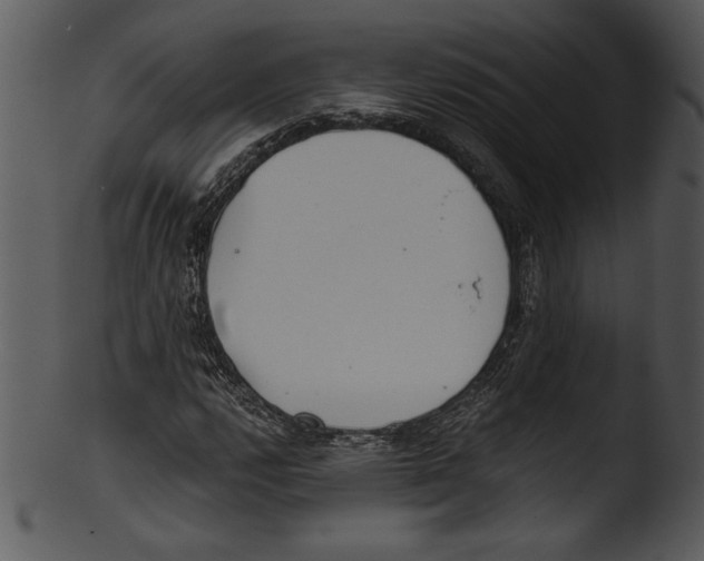 X0000103221112200809251129