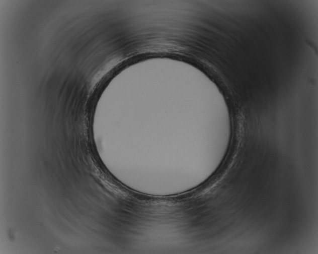 X0000103221114200809251129