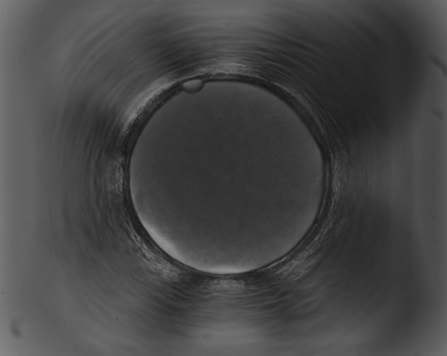 X0000103221115200809251129