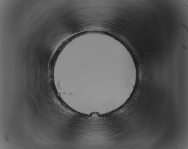 X0000103221116200809251129