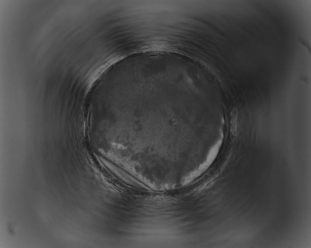 X0000103221117200809251129