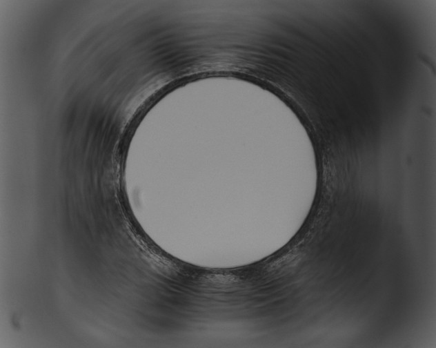 X0000103221119200809251129