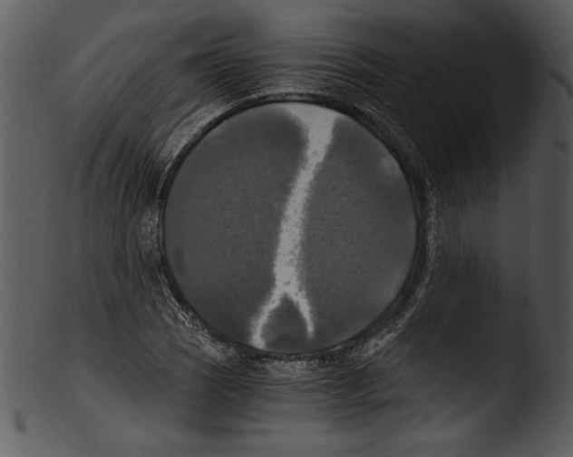 X0000103221121200809251129