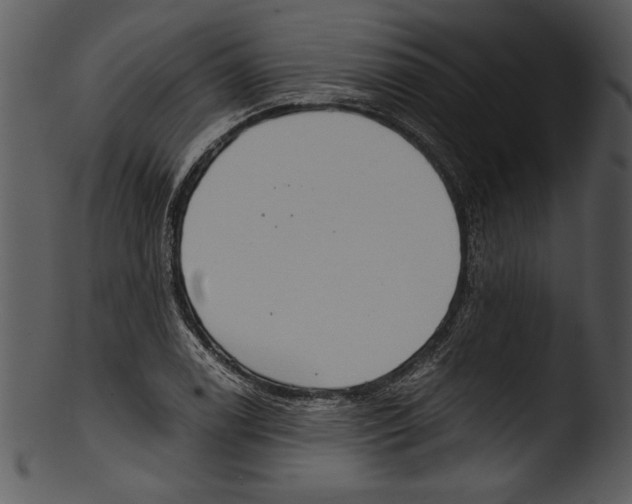 X0000103221122200809251129