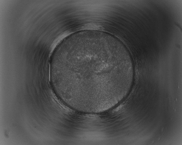 X0000103221123200809251129