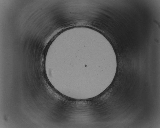 X0000103221126200809251129