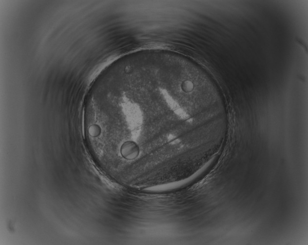 X0000103221127200809251129