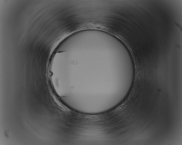 X0000103221128200809251129