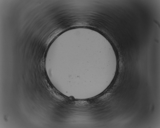 X0000103221129200809251129