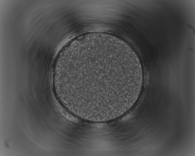 X0000103221130200809251129