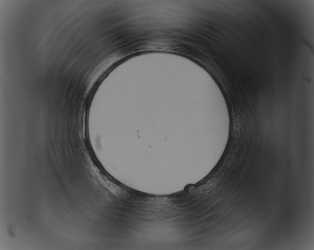 X0000103221131200809251129