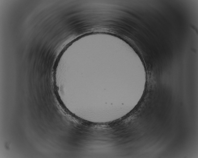 X0000103221133200809251129