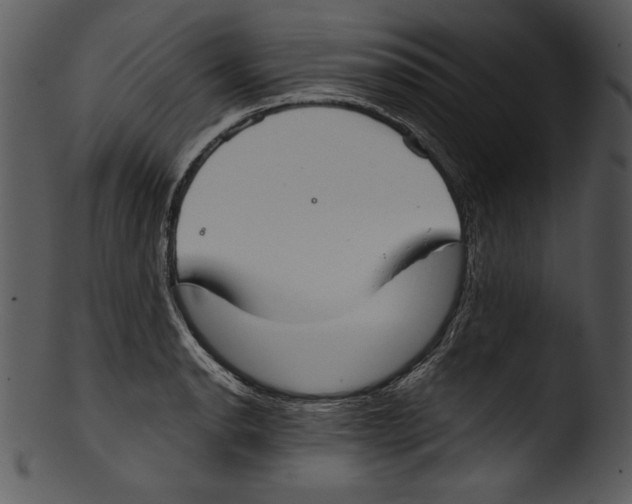 X0000103221134200809251129