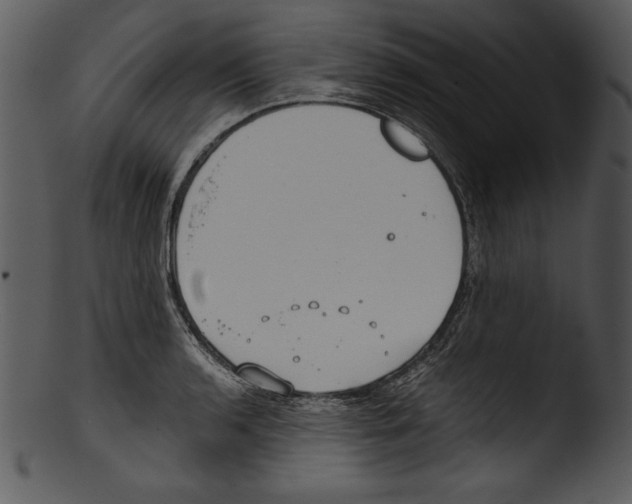 X0000103221136200809251129