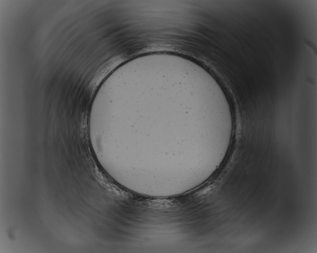 X0000103221137200809251129