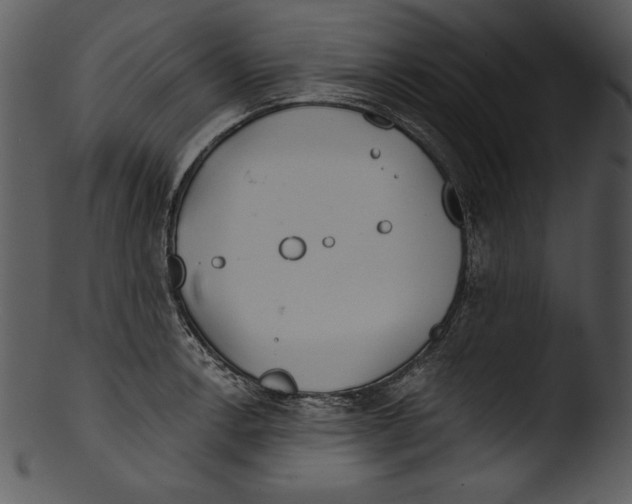 X0000103221138200809251129