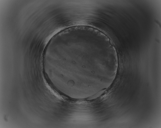 X0000103221142200809251129