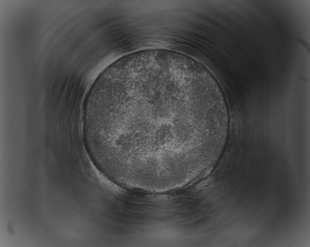 X0000103221143200809251129