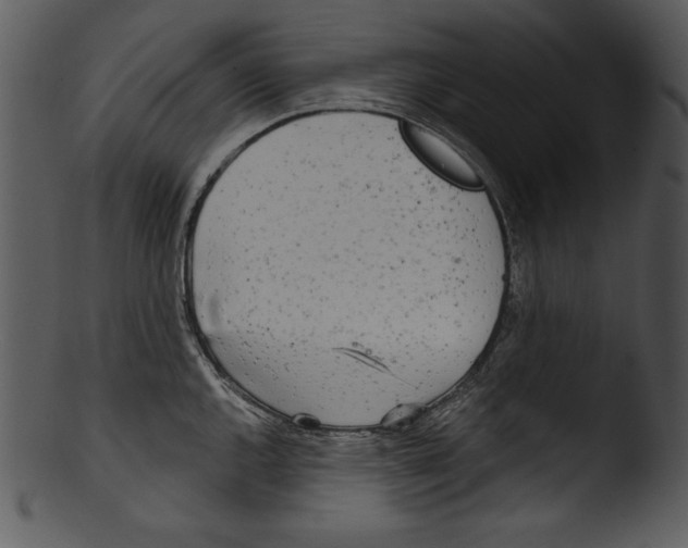 X0000103221144200809251129