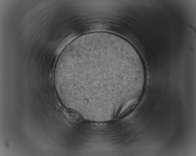 X0000103221145200809251129