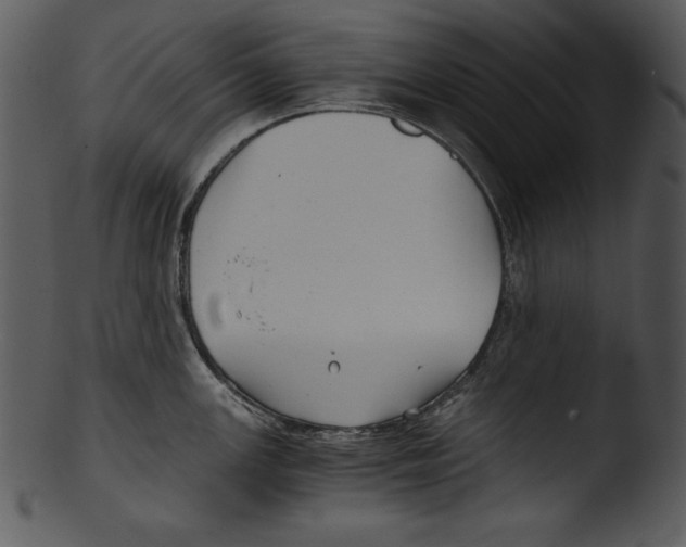 X0000103221147200809251129