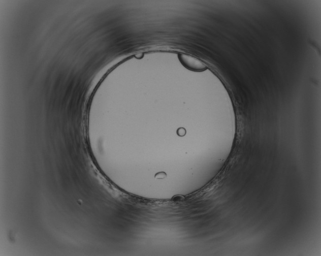 X0000103221148200809251129